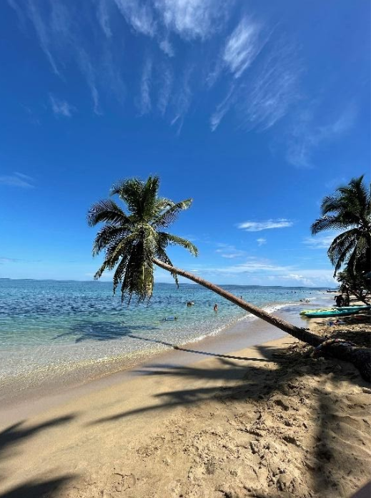 Guanacaste